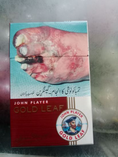 Picture of GOLD LEAF