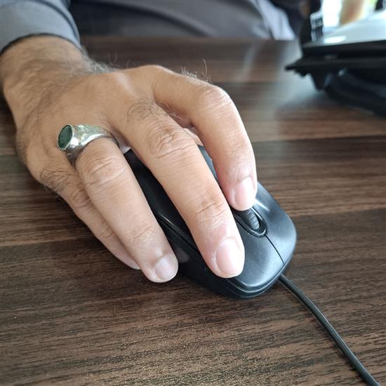 Picture of MOUSE SK